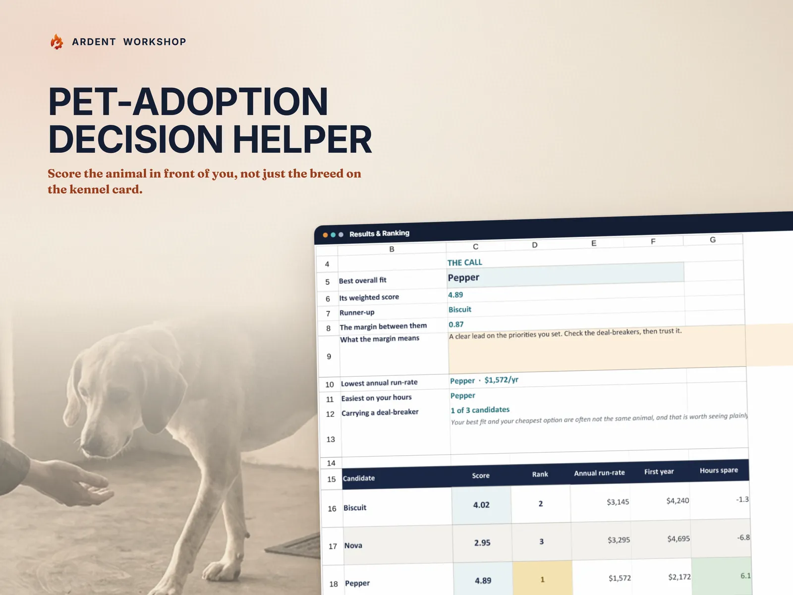 Pet-Adoption Decision Helper - a shelter meet-and-greet with the workbook's ranked results panel showing three candidates scored