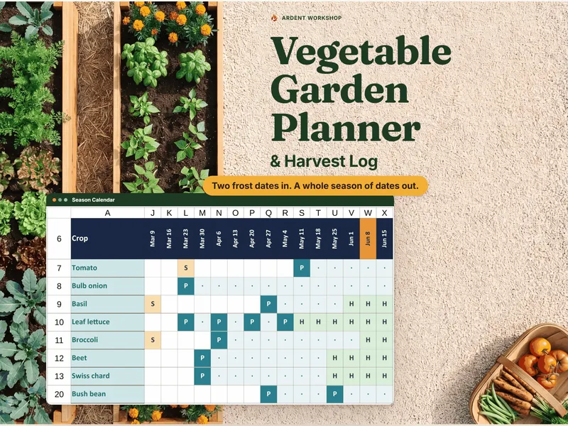 Vegetable Garden Planner & Harvest Log: Two frost dates in. A whole season of dates out. The Season Calendar laid over raised vegetable beds, one row per planting across the weeks