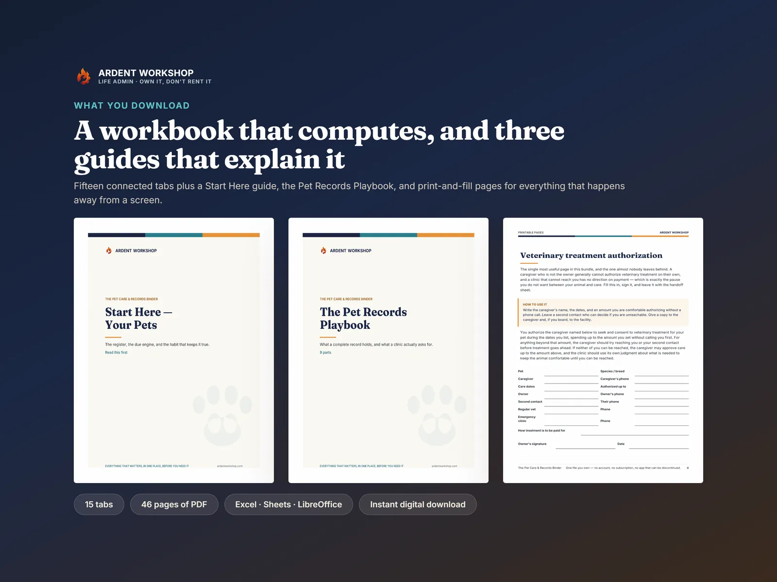 What you download: a 15-tab workbook plus the Start Here guide, the Pet Records Playbook and print-and-fill pages
