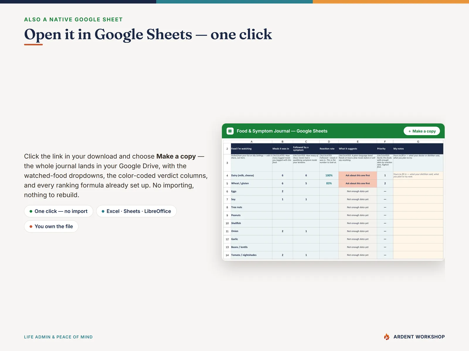 Food & Symptom Journal — also a native Google Sheet, open the included link and click Make a copy, no import needed