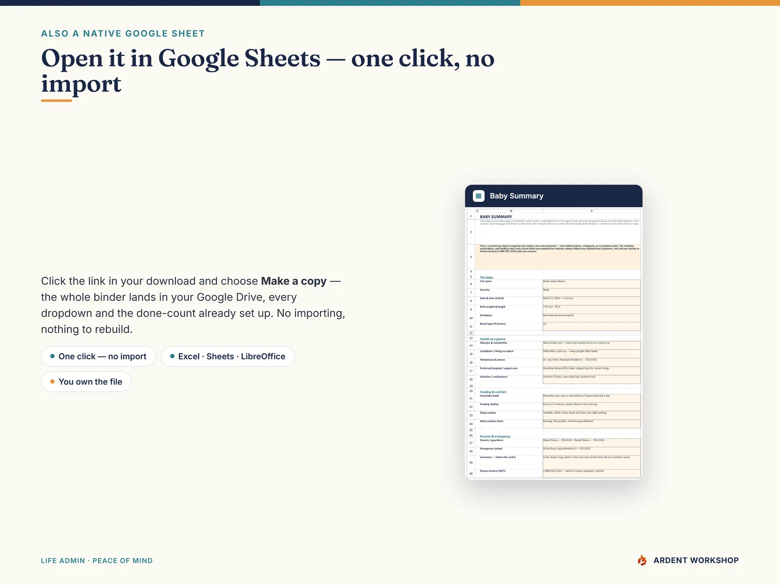 New-Baby Records Binder — also a native Google Sheet, open the included link and click Make a copy, no import needed