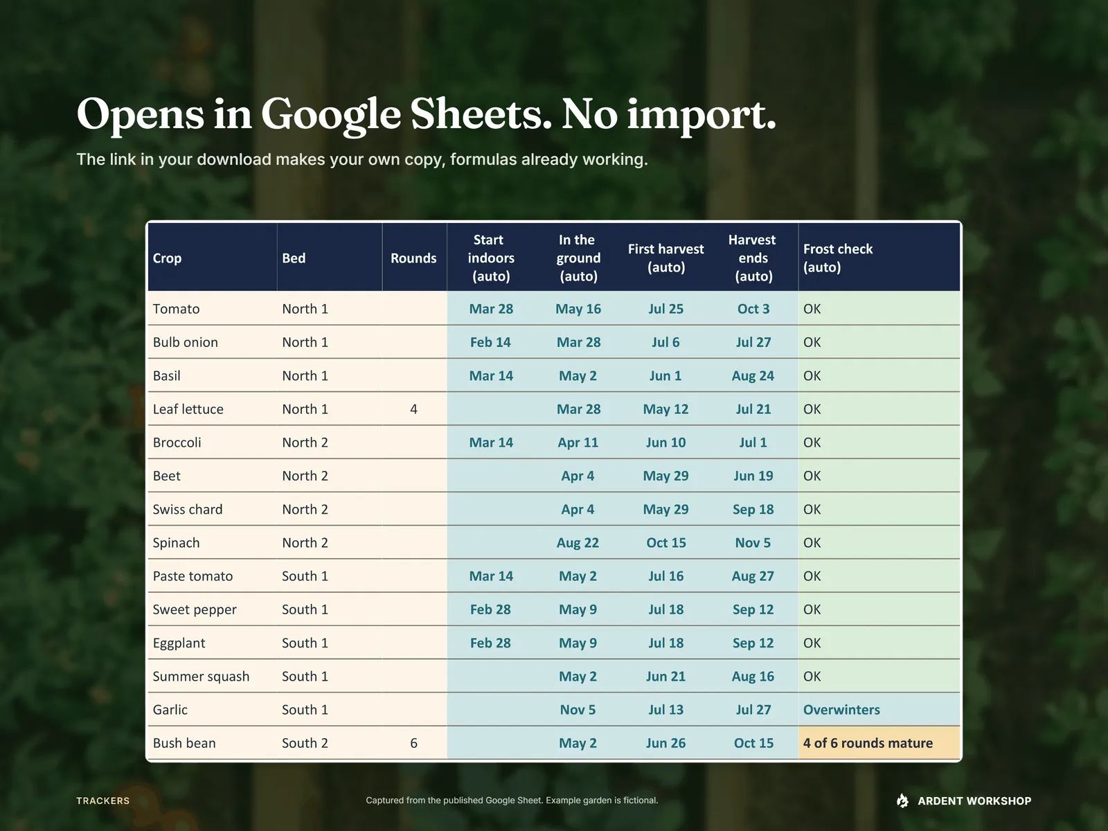 The published Google Sheet's Plan tab computing every planting date and frost check live, no import needed