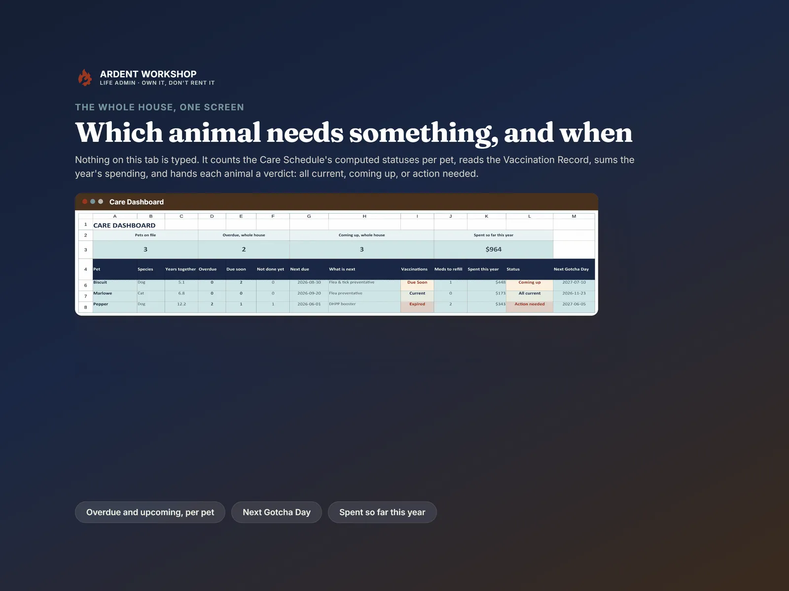 Care Dashboard: overdue and upcoming counts per pet, the next item due, vaccination status, medications to refill and spend so far this year