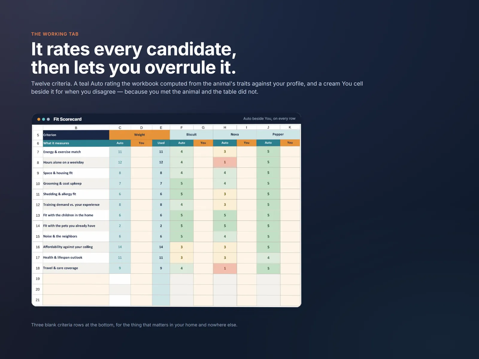 The Fit Scorecard with a computed Auto rating beside an overridable You cell on every criterion