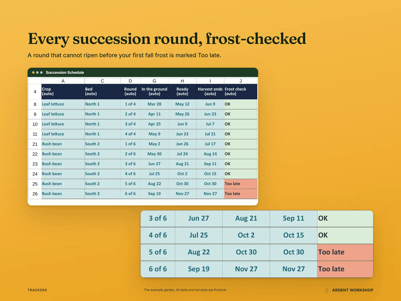 The Succession Schedule with a lens on bush bean rounds, the last two marked Too late before the first fall frost