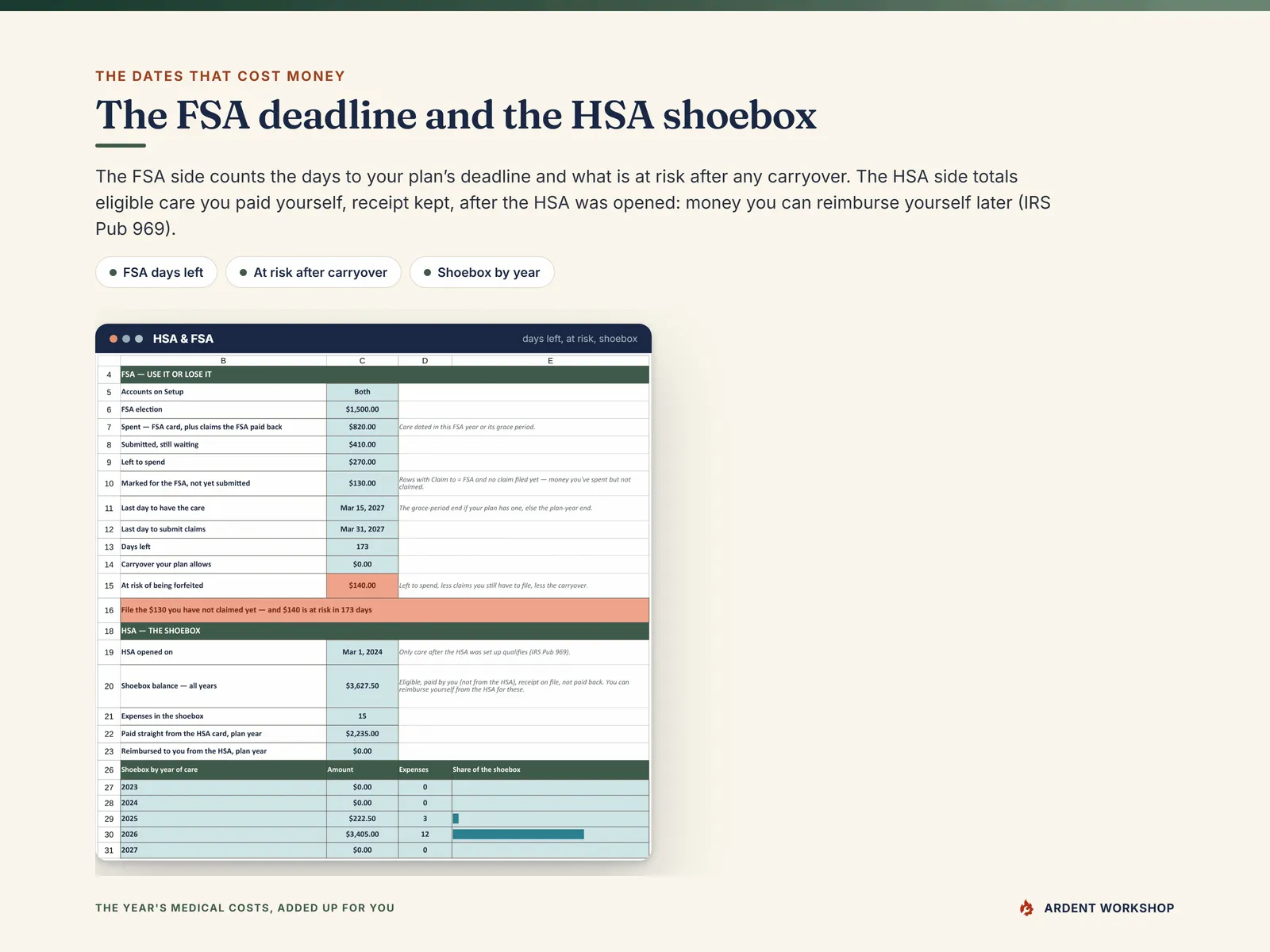 HSA & FSA - the FSA election, spent, waiting, left to spend, days left and amount at risk, then the HSA shoebox balance and its split by year of care