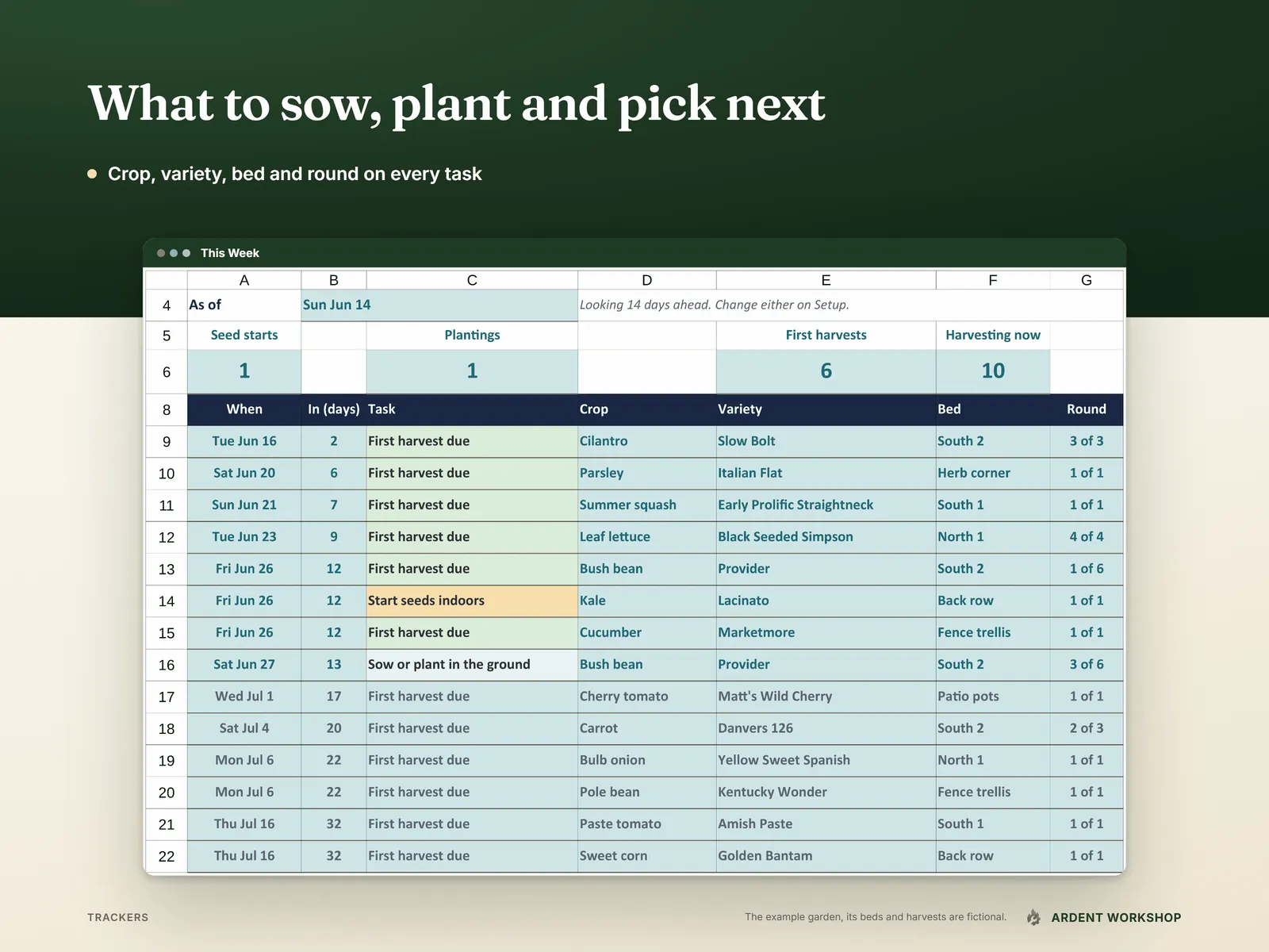This Week as of mid-June listing the seed starts, plantings and first harvests coming up, soonest first, with crop, variety, bed and round on each