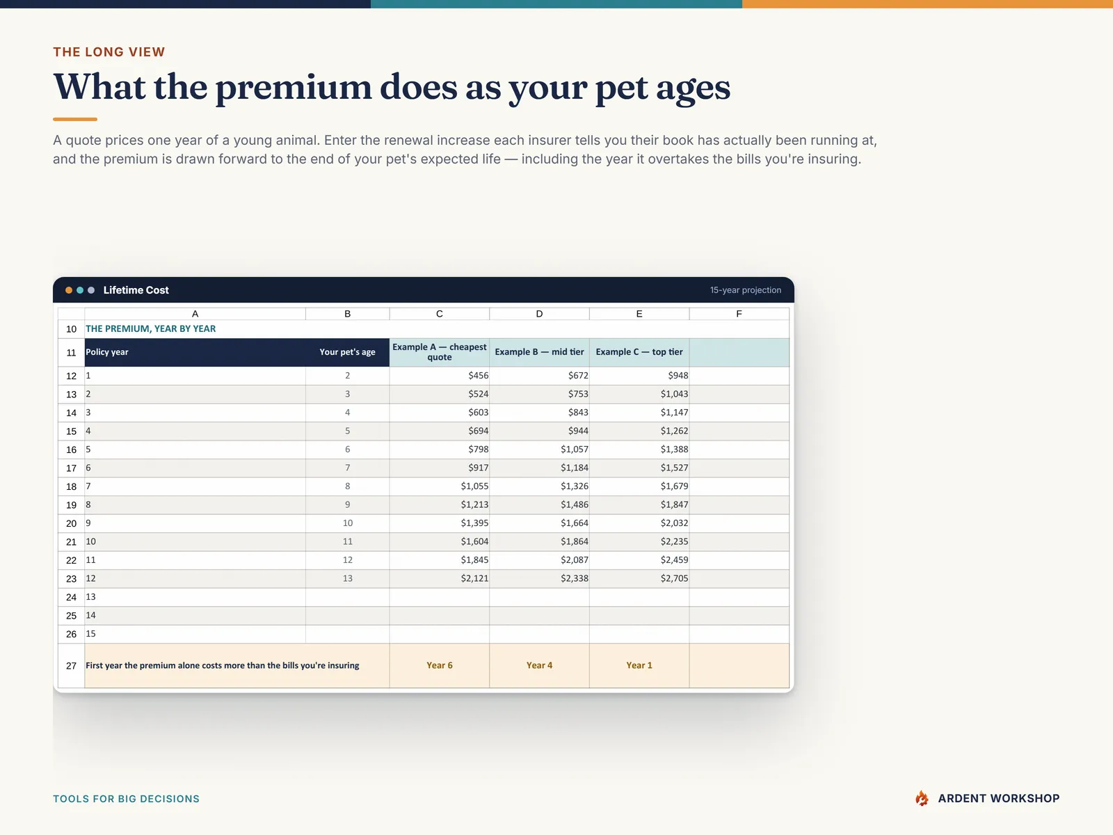 The Lifetime Cost tab projecting each plan's premium year by year, and the year it overtakes the bills being insured