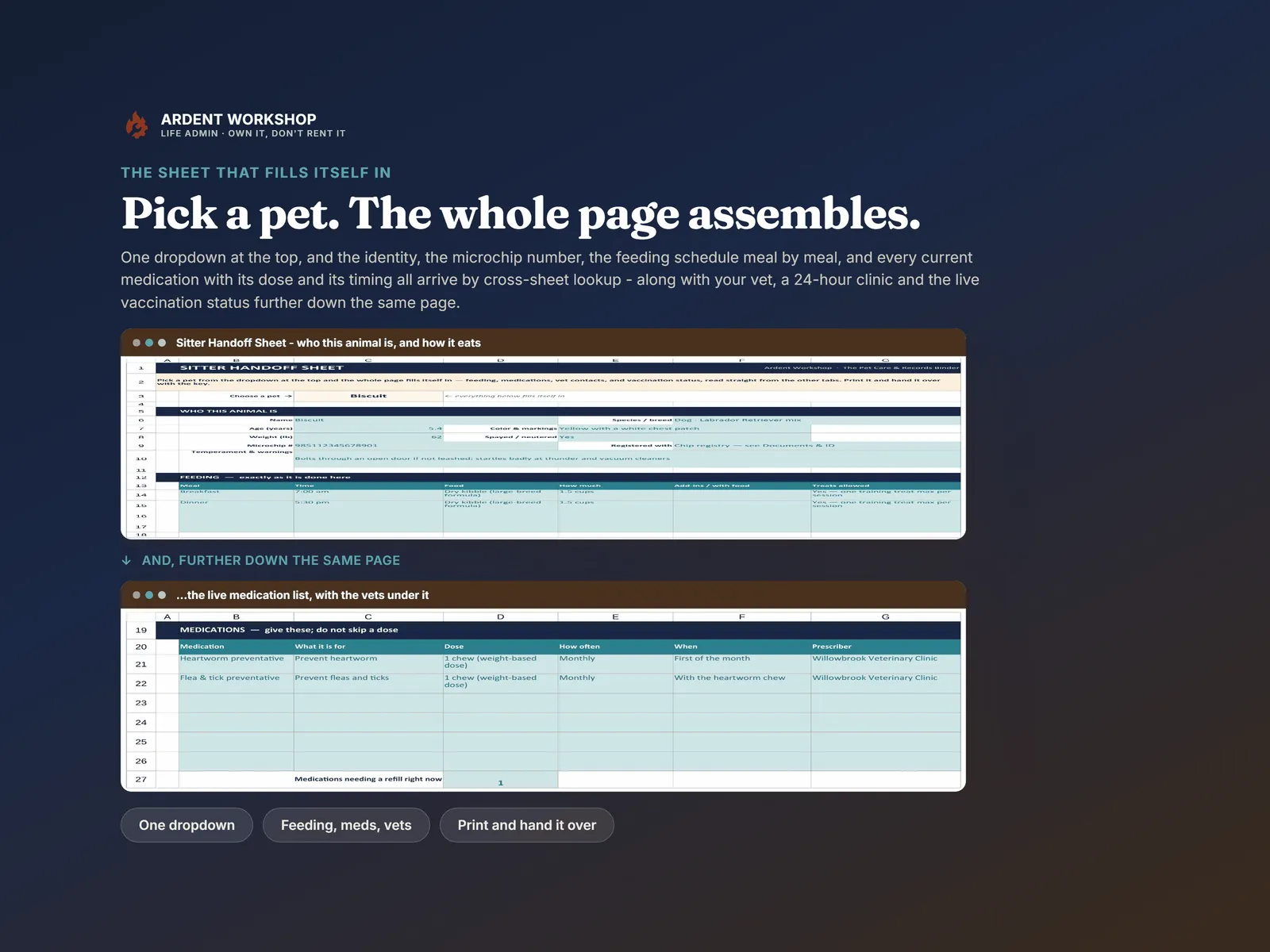 Sitter Handoff Sheet assembled for one pet — identity, microchip, feeding schedule and medications filled in from other tabs by one dropdown