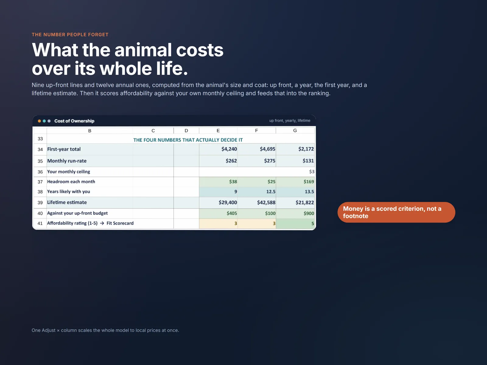 Cost of Ownership computing up-front, annual, first-year and lifetime cost for each candidate