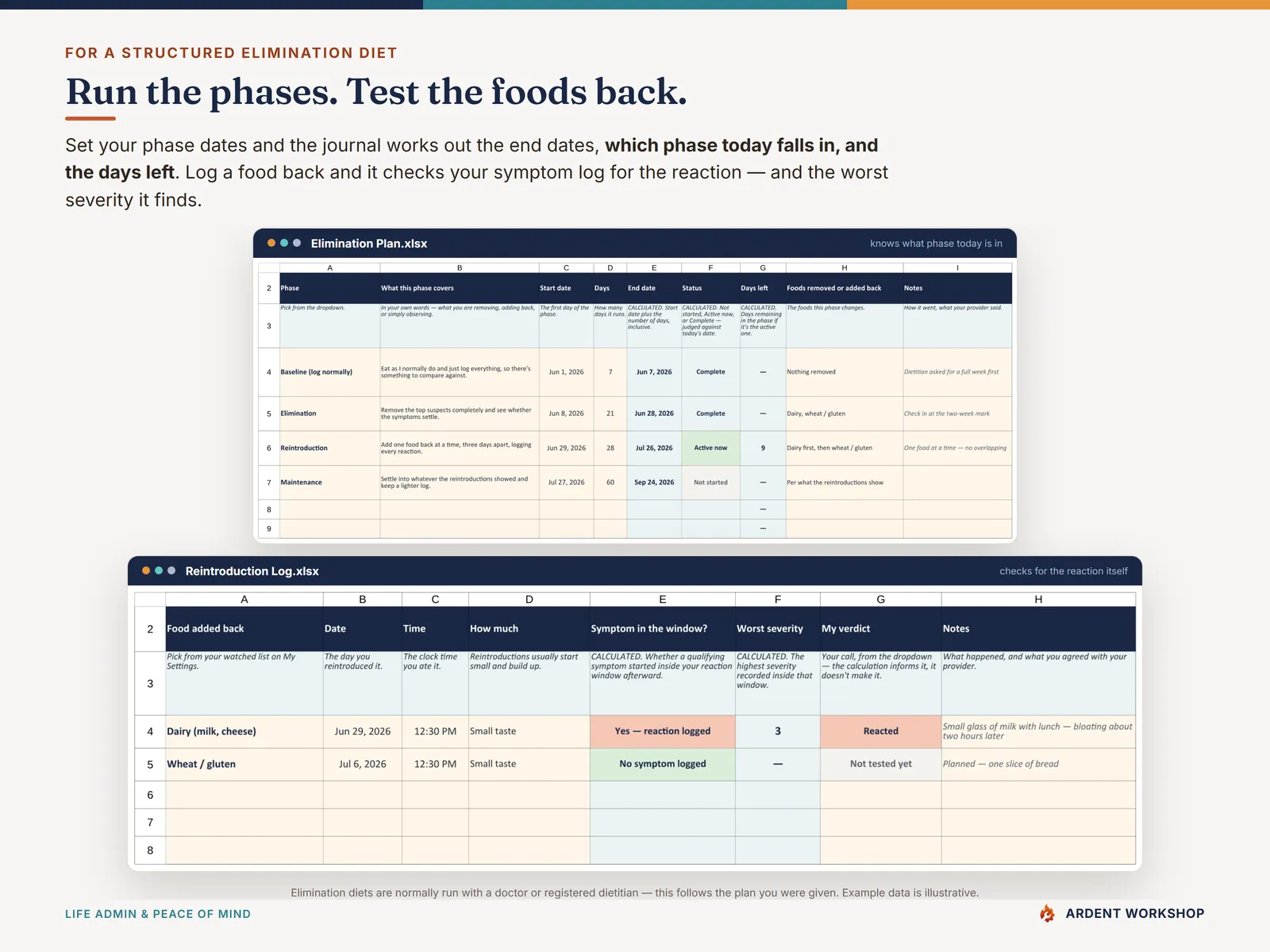 The Elimination Plan and Reintroduction Log tabs — phase end dates with a live countdown, and each food added back checked for a reaction