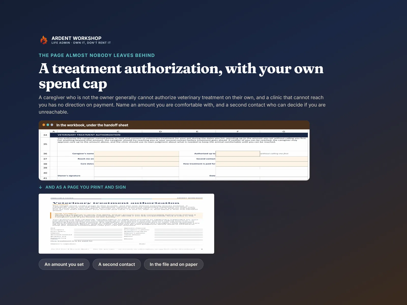 The veterinary treatment authorization with an owner-set spend cap, in the workbook and as a print-and-sign page