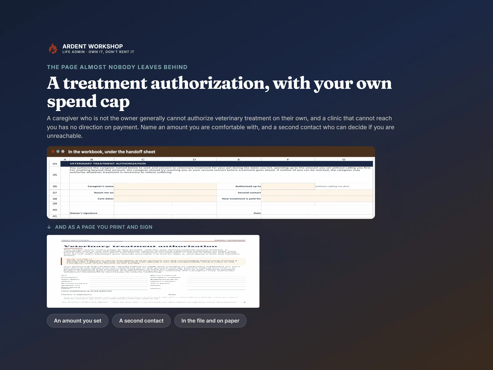 The veterinary treatment authorization with an owner-set spend cap, in the workbook and as a print-and-sign page