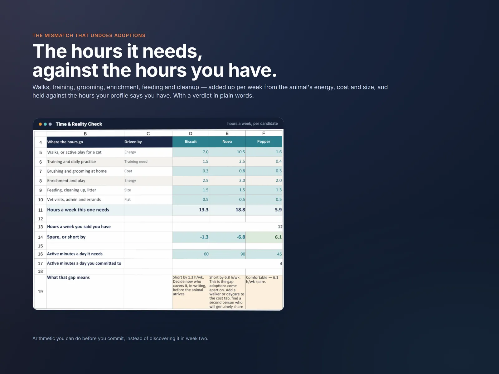 Time and Reality Check comparing the hours a week each animal needs against the hours the household has