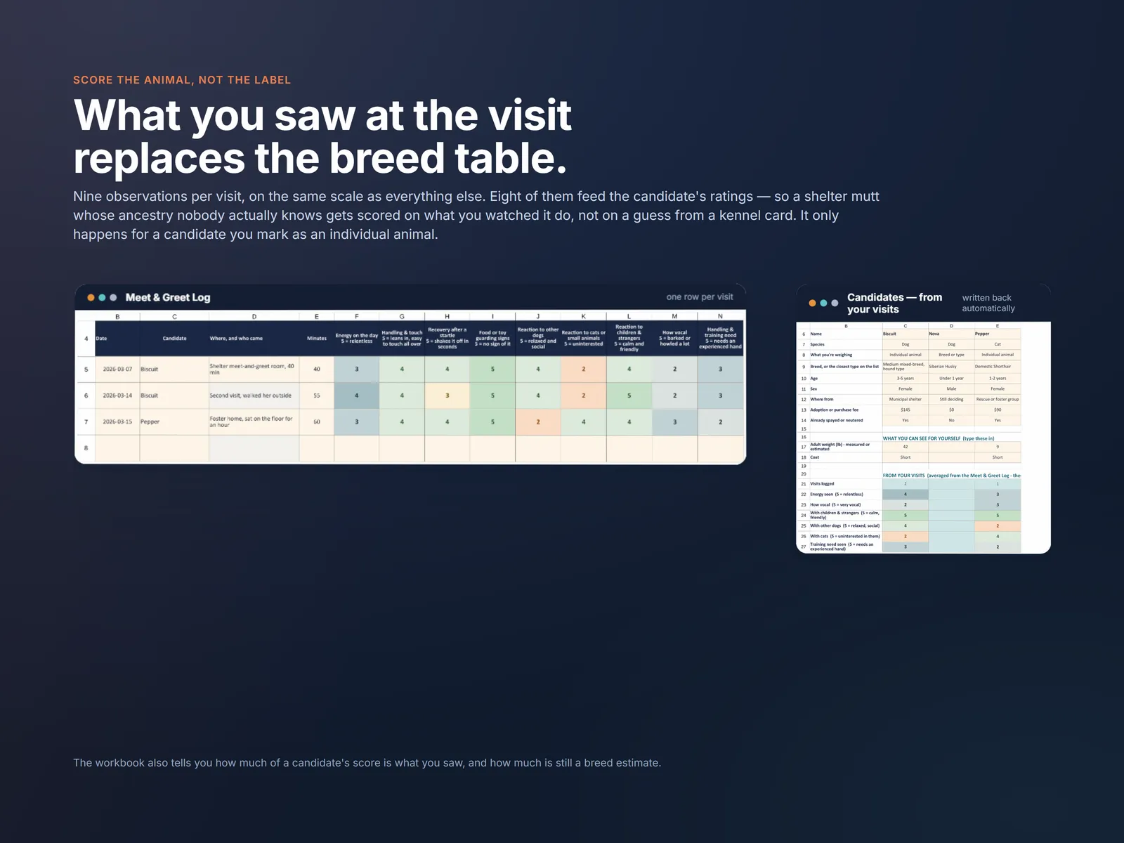 The Meet & Greet Log recording nine observations a visit, eight of which feed an individual animal's ratings