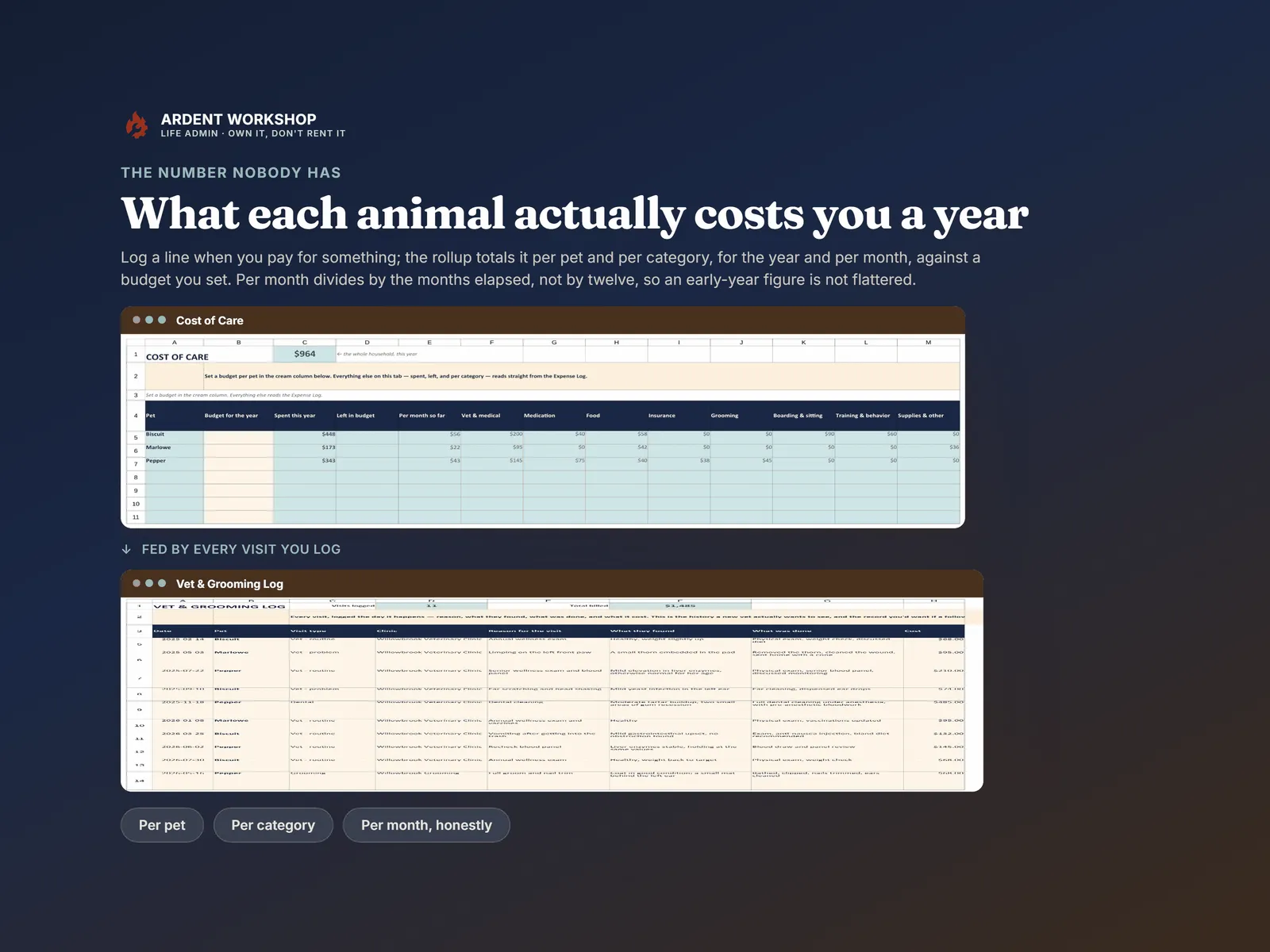 Cost of Care totaling spend per pet and per category for the year and per month, beside the Vet & Grooming Log