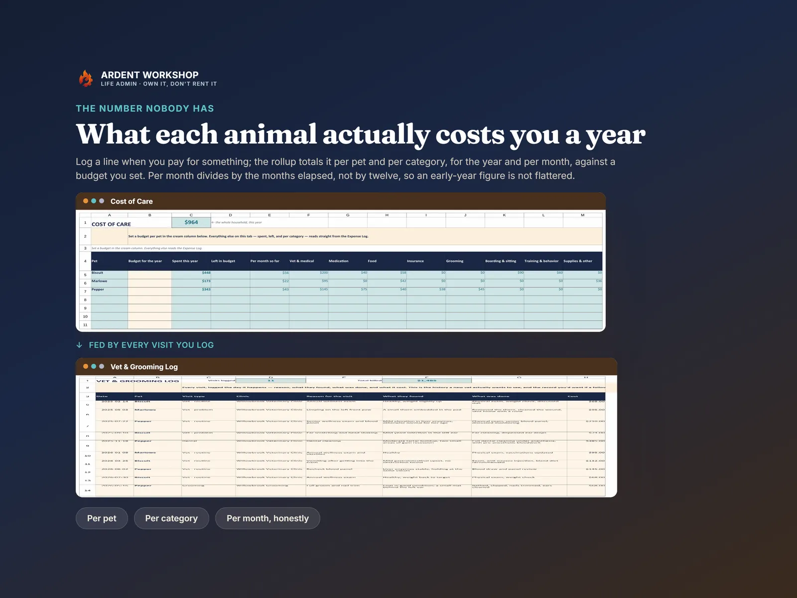 Cost of Care totaling spend per pet and per category for the year and per month, beside the Vet & Grooming Log