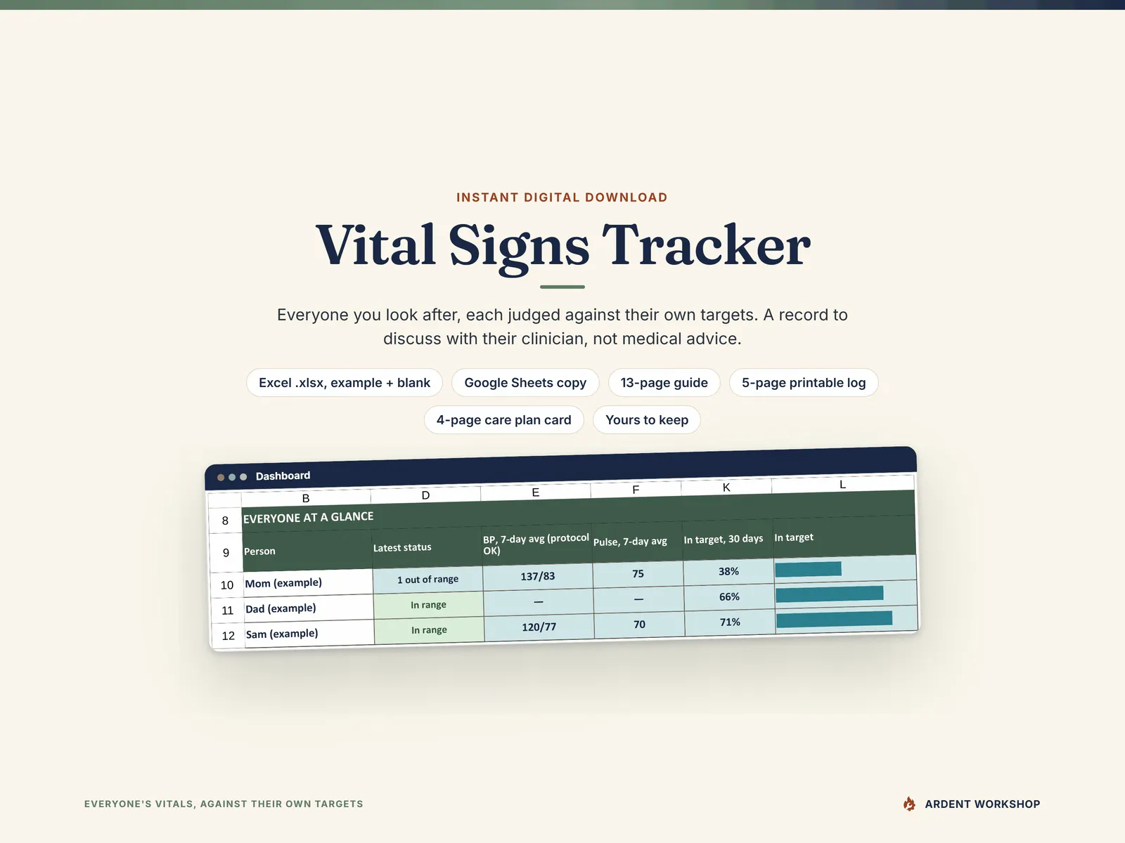 Instant digital download - the example and blank .xlsx workbooks, the Google Sheets copy, the 13-page guide, the 5-page printable log and the 4-page care plan card