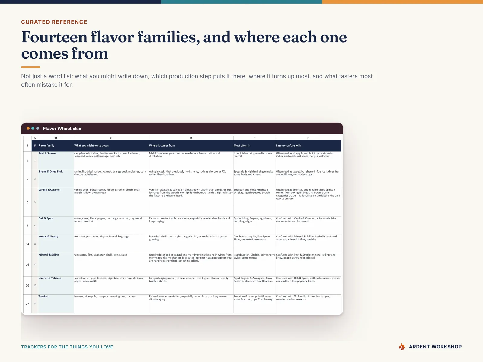 The Flavor Wheel tab: 14 families with the descriptors, the production step behind each and what it is confused with