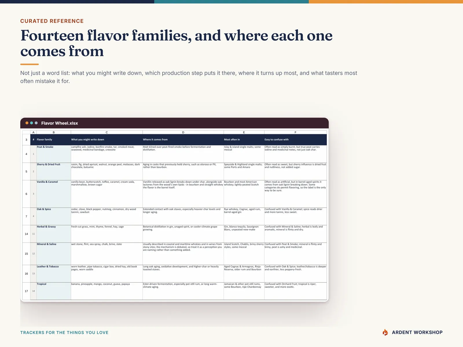 The Flavor Wheel tab: 14 families with the descriptors, the production step behind each and what it is confused with