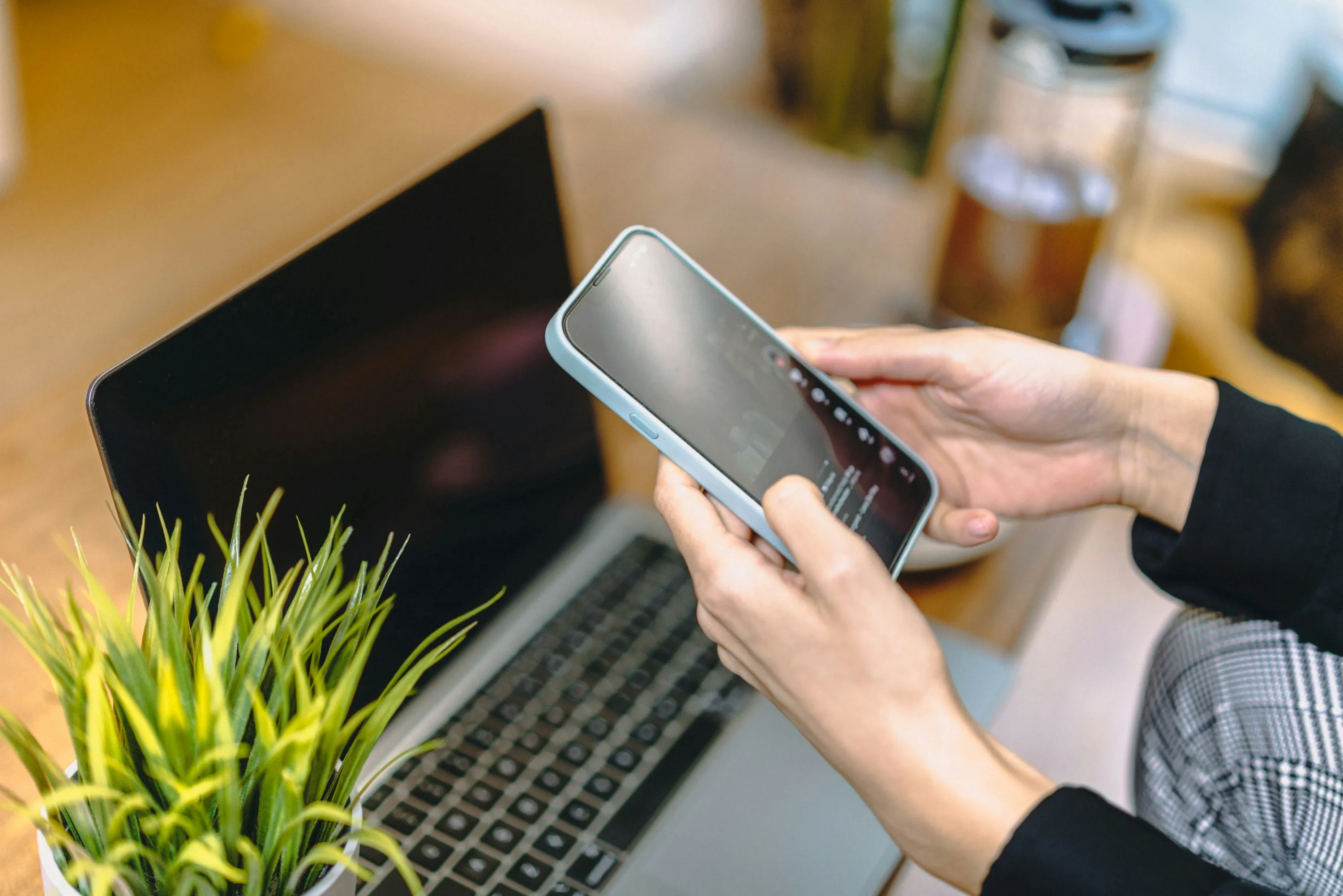Person at a desk holding a smartphone over an open laptop next to a small potted plant, working on a creator project