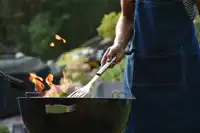 9 Types of Memorial Day BBQ Hosts (Which One Are You?)