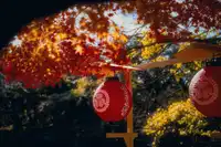 Fall 2026 Anime Preview: 10 Shows Worth a Slot on Your Calendar