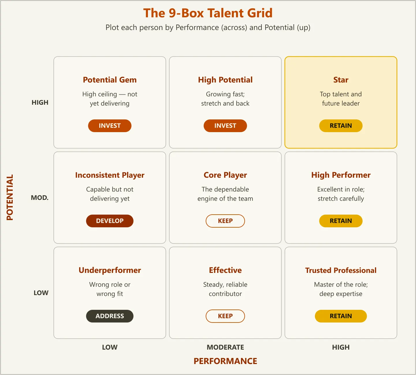 A 3x3 nine-box talent grid plotting employees by performance across the bottom and potential up the side, with each box labeled—Potential Gem, High Potential, and Star across the top row; Inconsistent Player, Core Player, and High Performer in the middle; Underperformer, Effective, and Trusted Professional along the bottom—and a recommended action for each