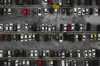 Should Your Freshman Take a Car to Campus?