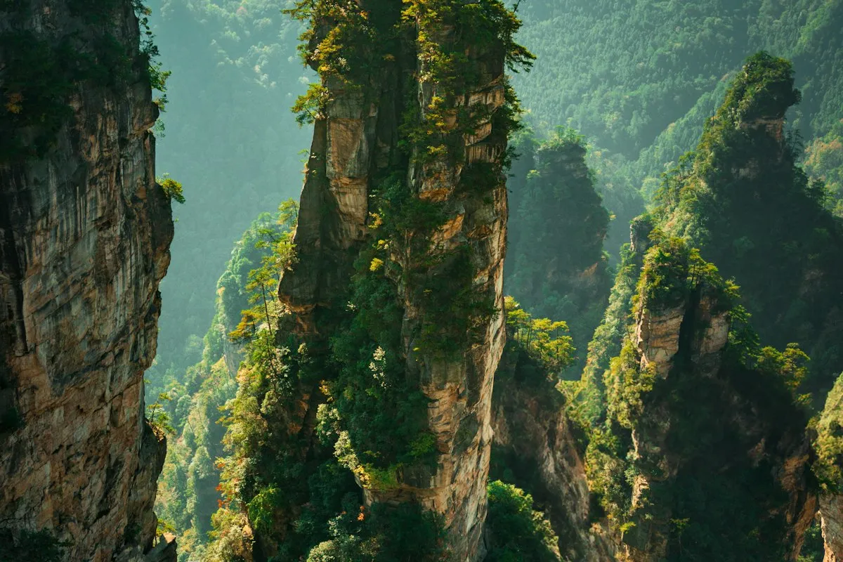 Sheer sandstone pillars capped with trees and shrubs rise out of a misty green forest valley in soft sunlight, with more forested stone towers fading into the haze behind