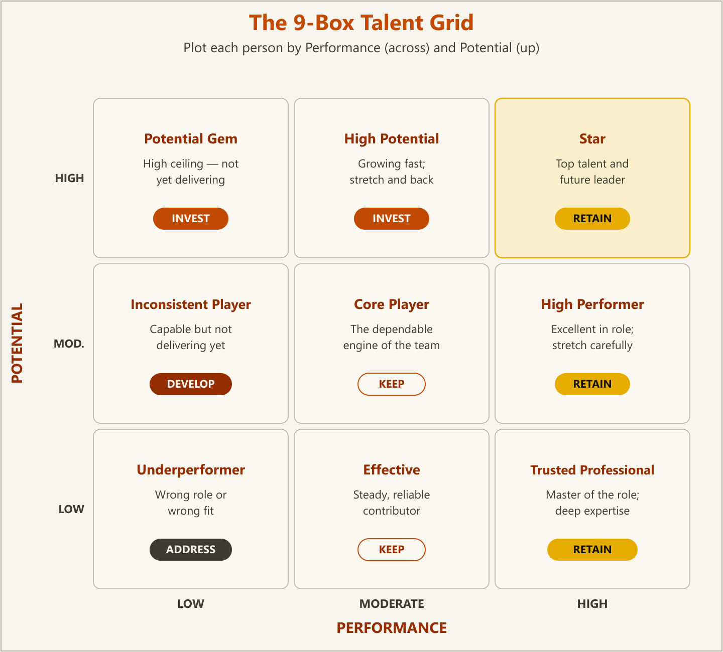 A 3x3 nine-box talent grid plotting employees by performance across the bottom and potential up the side, with each box labeled—Potential Gem, High Potential, and Star across the top row; Inconsistent Player, Core Player, and High Performer in the middle; Underperformer, Effective, and Trusted Professional along the bottom—and a recommended action for each
